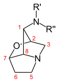 Profile Picture of Loline alkaloidon Wikipedia