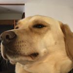Profile Picture of Jonathan (@jonathan_hess01) on Instagram
