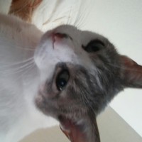 Profile Picture of Kassie Rogers (@kassie-rogers-11) on Quora