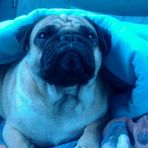 Profile Picture of Jeremy Kranick (@jeremy.kranick.9) on Facebook