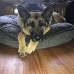 Profile Picture of Brayden Brooks (@bbrooks24) on Instagram