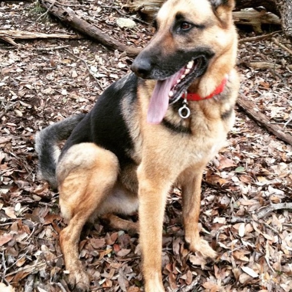 Profile Picture of Taylor Hartshorne (@taynicole17) on Poshmark