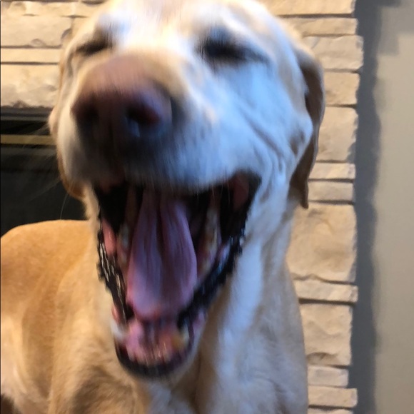 Profile Picture of Jack Torborg (@jackt17) on Poshmark