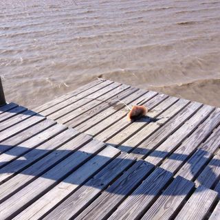 Profile Picture of Jon Grundhoefer (@jon.grundhoefer) on Facebook