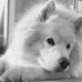 Profile Picture of Joseph C. Lapp (Uncle Joe) (@joseph.c.lapp) on Facebook
