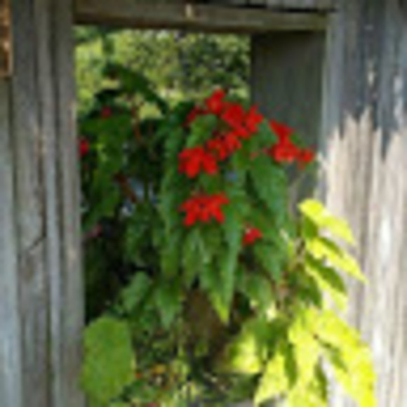 Profile Picture of Samer Hussein (@samer_hussein) on Poshmark