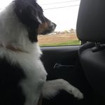 Profile Picture of Harlee Bailey K (@harleebaileyk) on Instagram