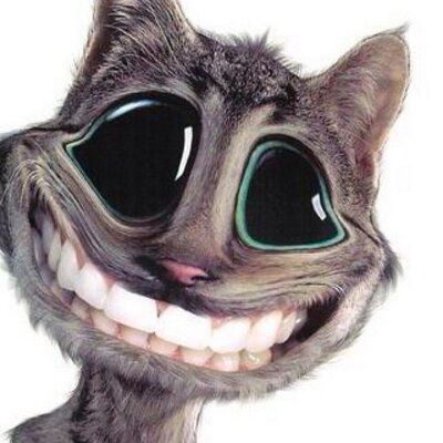 Profile Picture of Carlos Miron (@cmironh) on Twitter