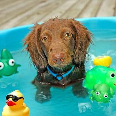 Profile Picture of Jerry Sin (@JerrySin526) on Twitter