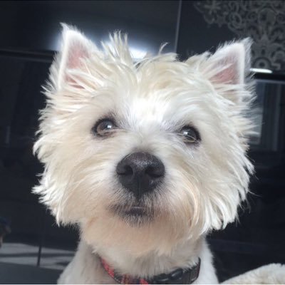 Profile Picture of Caitlin Kelley (@Caitlinkelley02) on Twitter