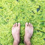 Profile Picture of Michael Crouch (@mikeycrouch) on Instagram