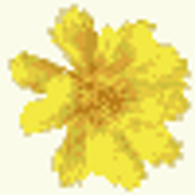 Melanie Clements - Twitter Profile Picture of Melanie Clements (@coreopsisz) on Twitter