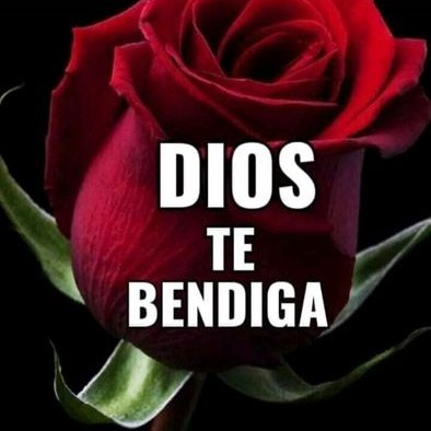 Profile Picture of Yolanda Solano (@Yolanda17306595) on Twitter