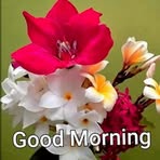 Profile Picture of Vasanth Bhat (@vasanth.bhat.71) on Facebook