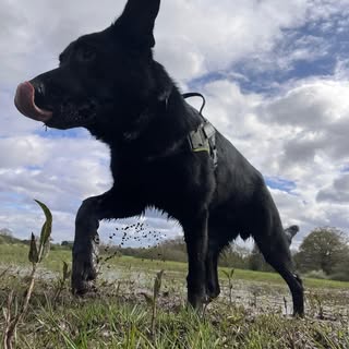 Profile Picture of Debra Hammond (@debra.hammond) on Instagram