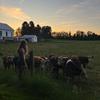 Profile Picture of :) (@peyton.kozup) on Tiktok