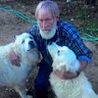 Profile Picture of Tommy Bowden (@tommy-bowden-8) on Quora