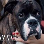 Profile Picture of Harley Upton (@therealharleyupton) on Instagram