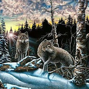 Profile Picture of Chrystal Campbell (@1981silverwolf31) on Youtube