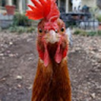 Profile Picture of Grant Gallagher (@grant-gallagher-22) on Quora