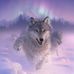 Profile Picture of Brad Hone (@brad.hone.9) on Facebook