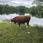 Profile Picture of Chip Rodgers (@chip.rodgers.39) on Instagram