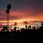 Profile Picture of Keith Veals (@keithveals) on Instagram