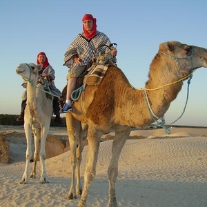Profile Picture of Paul Mulcahy (@scubip) on Myspace