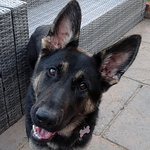 Profile Picture of Scott-morton (@scott-morton) on Flickr