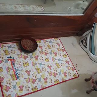 Profile Picture of Nicole Amparo Feimerpajares (@nicoleamparofeimer) on Facebook