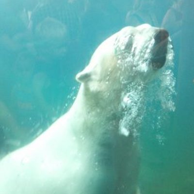 Profile Picture of Kevin Eberhardt (@Keber6678) on Twitter