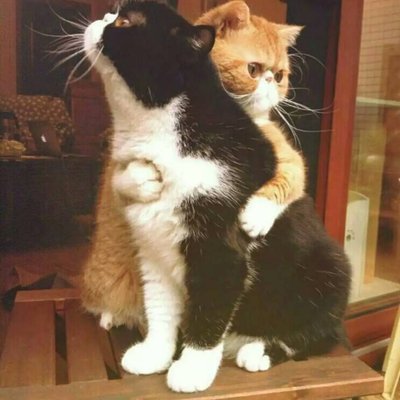 Profile Picture of Zoey Zhao (@ZoeyZhao12) on Twitter