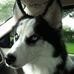 Profile Picture of Bruce Dessler (@bruce.dessler) on Facebook