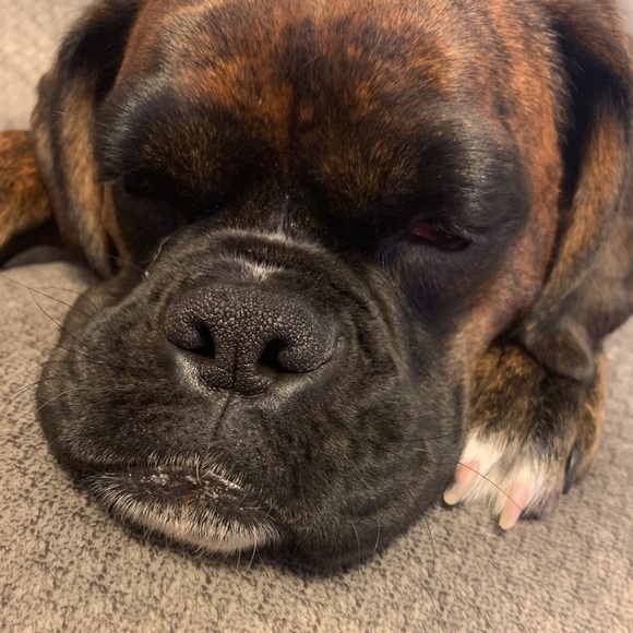 Profile Picture of Andrea Dubsky (@azdub1) on Poshmark