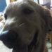 Profile Picture of Jason Tsay (Jason Tsay) (@Jason-Tsay) on Facebook