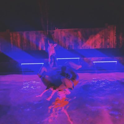 Profile Picture of Daniel Boulos (@DanielBoulos7) on Twitter
