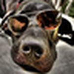 Profile Picture of Jonathan Mosquera (@burakiathan) on Flickr