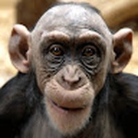 Profile Picture of Illimar Leesment (@illimar-leesment) on Quora