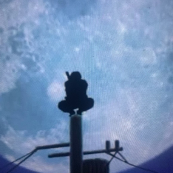 Profile Picture of Mason Elgort (@scoutbender) on Poshmark