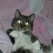 Profile Picture of Max Engelhardt (@max20092009) on Pinterest