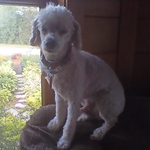 Lucas Carey - Flickr Profile Picture of Lucas Carey (@lucascarey7) on Flickr