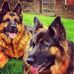 Profile Picture of John Perrott (@john.perrott.1675) on Facebook