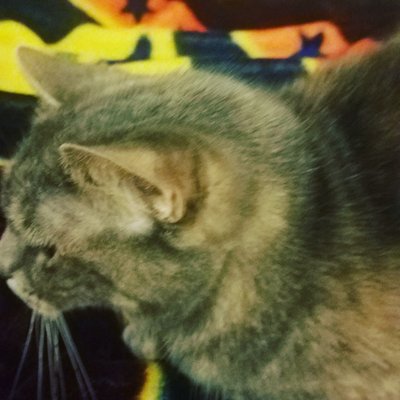 Profile Picture of Joshua Keyser (@JoshuaKeyser5) on Twitter