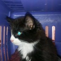 Toby Mcallister - Quora Profile Picture of Toby Mcallister (@toby-mcallister-1) on Quora