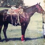 Profile Picture of Steve Hinson (@hinson2297) on Instagram
