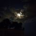 Profile Picture of Hannah Alibrahim (@hannahalibrahim) on Pinterest