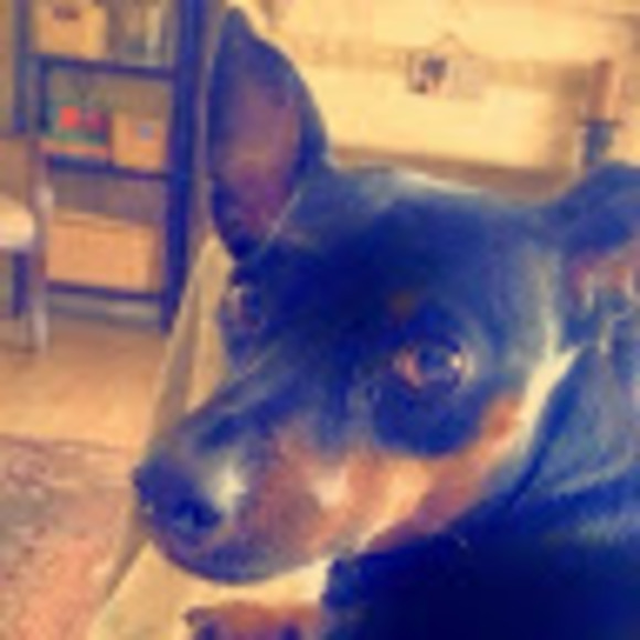 Profile Picture of Zvart Keshishyan (@zvart90) on Poshmark