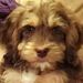 Profile Picture of Beverly Mckay (@beverlym0934) on Pinterest