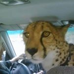 Profile Picture of Stephen Tuttle (@tutttle___) on Instagram