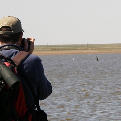 Profile Picture of Brad Robson (@BradRobson1) on Twitter